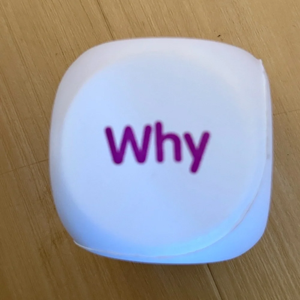 KAGAN QUESTION FOAM DICE CLASS SET (8-OF DICE) THINKING QUESTIONS READING